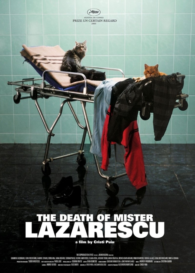 The Death of Mr. Lăzărescu