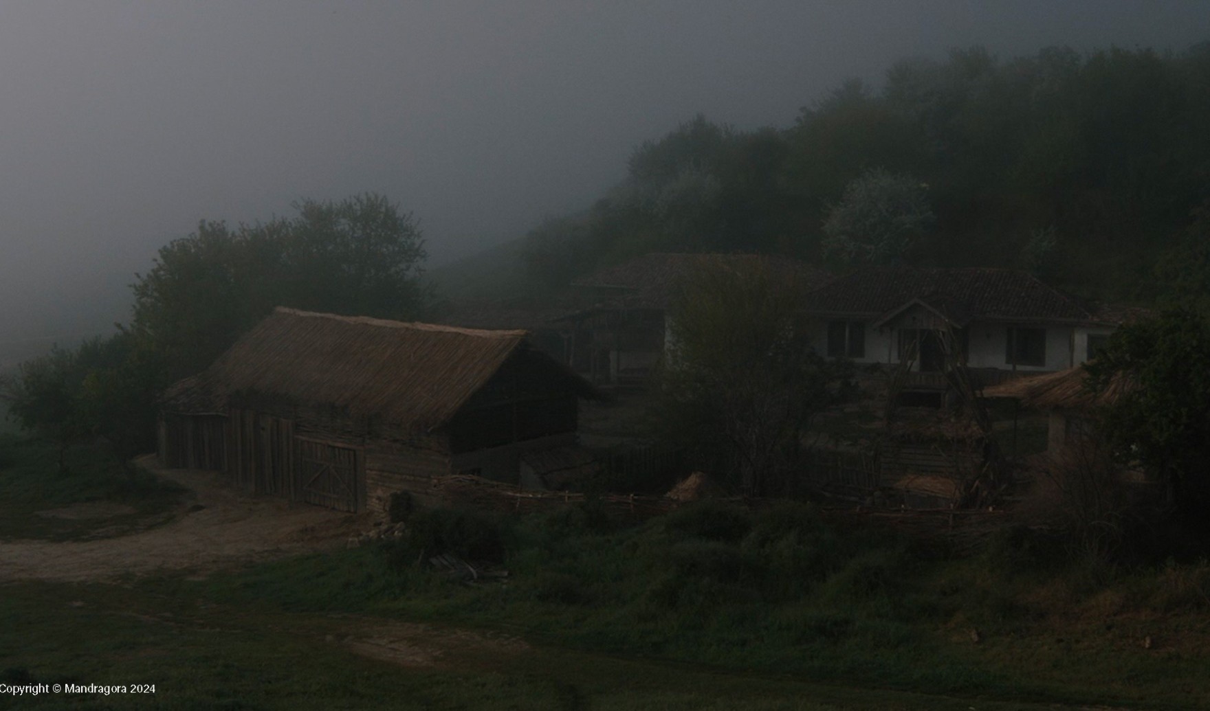copyright-mandragora-saptamana-mare-still001-copy.jpg